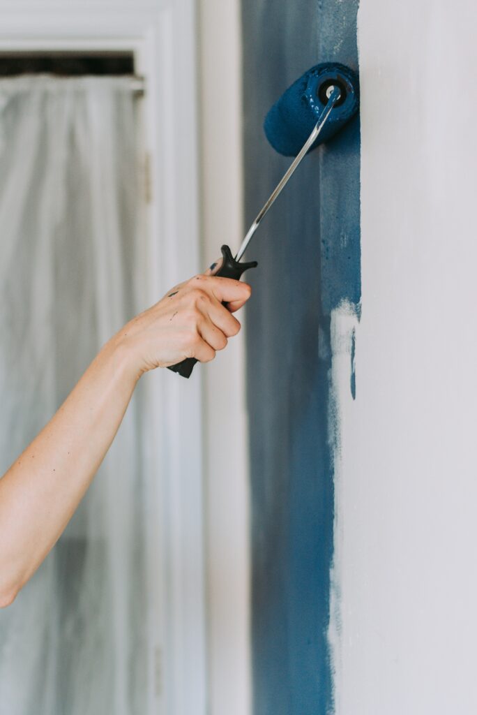 Primer & Emulsion Painting